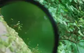 phoca_thumb_l_170