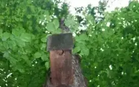 phoca_thumb_l_125