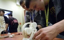 phoca_thumb_l_035