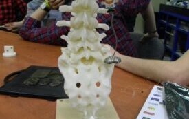 phoca_thumb_l_032
