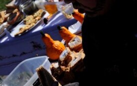 _dsc2964